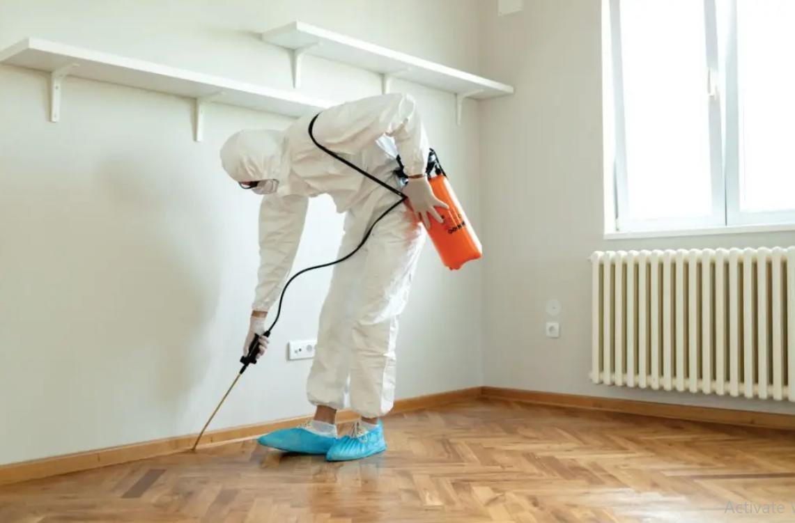 شركة مكافحة جشرات بجدة