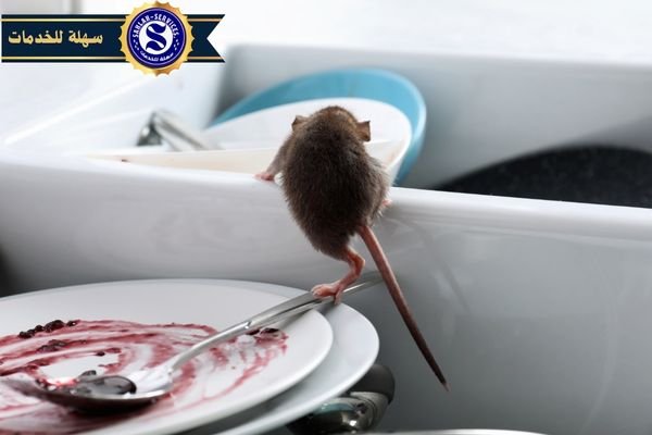 مكافحة الفئران بمكة