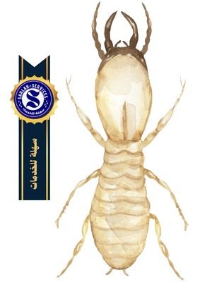 مكافحة النمل الابيض بمكة