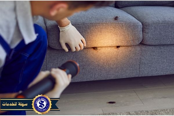 شركه مكافحه حشرات بالطائف